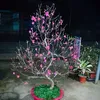 nvp.hangtienich