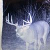 archeryhunter21