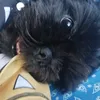 mkayyyyy__