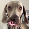 jaqueefsbutthole