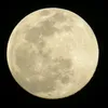 ayoub.radi.zizo.10