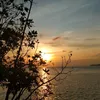 lidyy.2