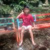 wals341