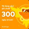 dngnguynvn810