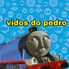 videosdopedro1