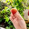 eunbi_thv