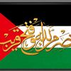 talalhabib1