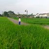 mboknelia4