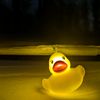 ambientduck