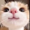 hihiii1511