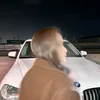 zeiko_09