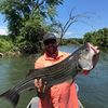 trevgrubb