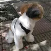marybilbao03