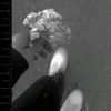emtissal_al_3amer