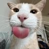 roah_ubs