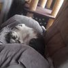 emily.112018