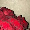 user97505703433873