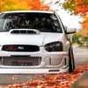joeyquiles3608