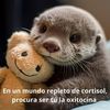 patocamil1234567890