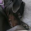 bookenthusiast36