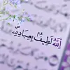 noorshadi18
