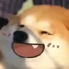kashiayn