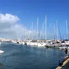 irinashiman1