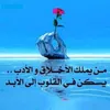 mohammednourshekalashre