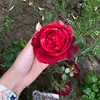 ban.alkaabi