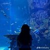 ashifa_jnh18