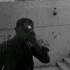 aboo.d527