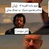 halawgull