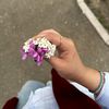 slymnvaa_n