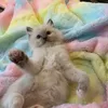 sidrabilal_786