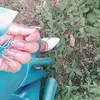 no0n._i