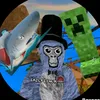 sailfishvr