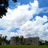 jemimajerin0