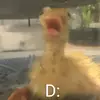 angels_d1