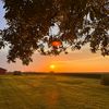 jesshart_farm