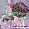 a123bamadinha