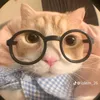 phw_linh_