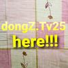 dongz.tv25