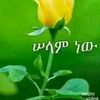 seid398gemail.com
