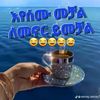 user4499159643665