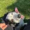 maxiafrovix