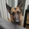 jralvaro93