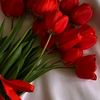 🌼يااااقوتة 🌼