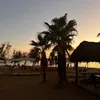 pauline_pr2