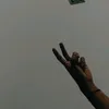 wahyubudiyono15
