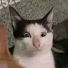 minh.hai7